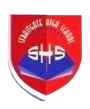 Straitgate High School
